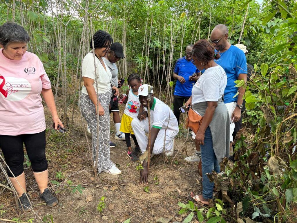 Côte d’Ivoire (CVX-CI) held its annual hike