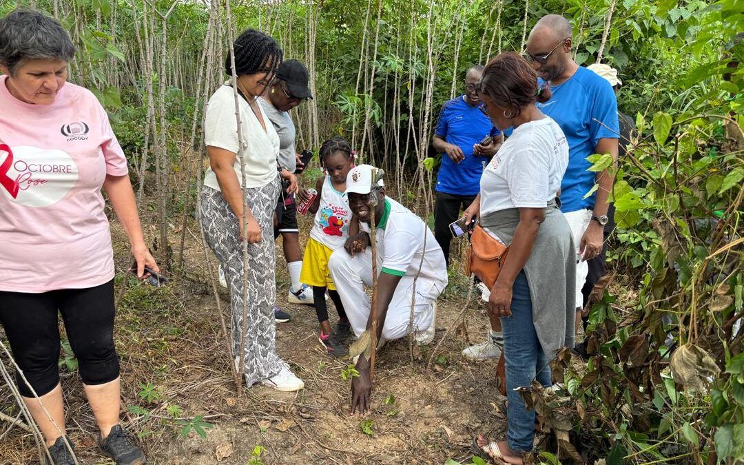 Comunidad de Vida Cristiana en Costa de Marfil (CVX-CI) llevó a cabo su caminata anual