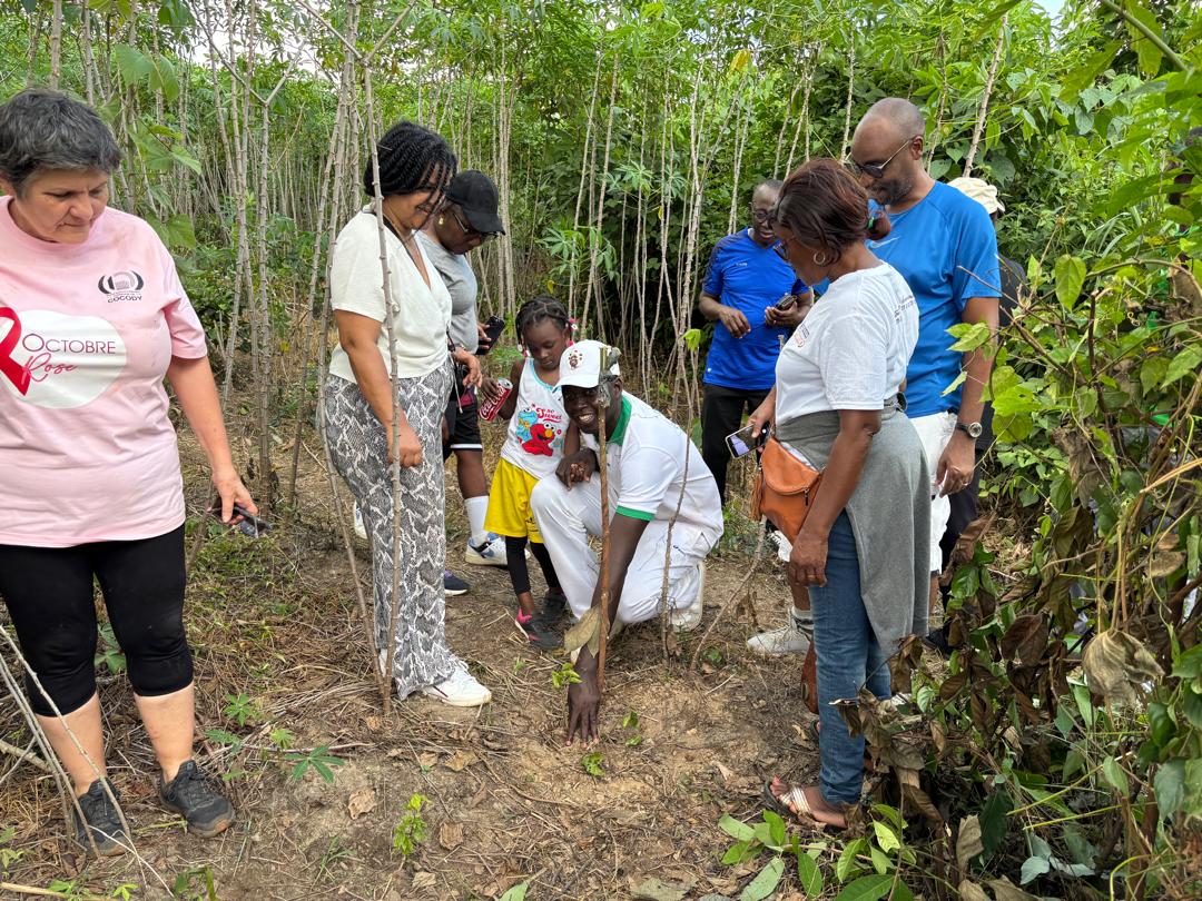 Côte d’Ivoire (CVX-CI) held its annual hike
