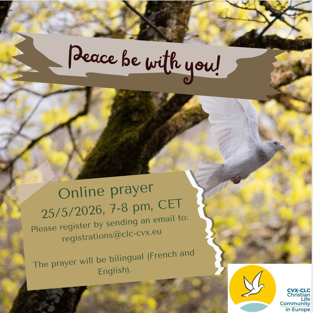 Prayer for peace_25 05 2026